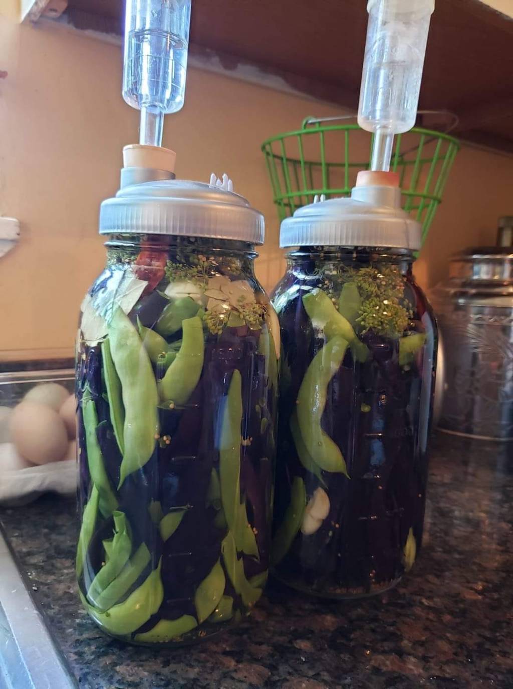 Lacto-Fermenting Basics