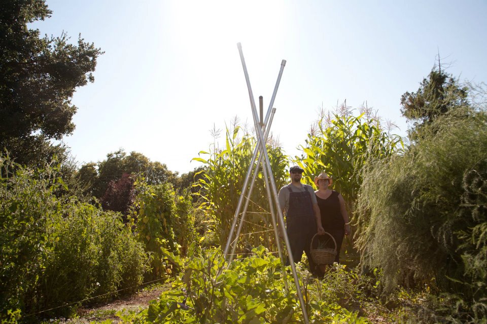 The Resilient Garden